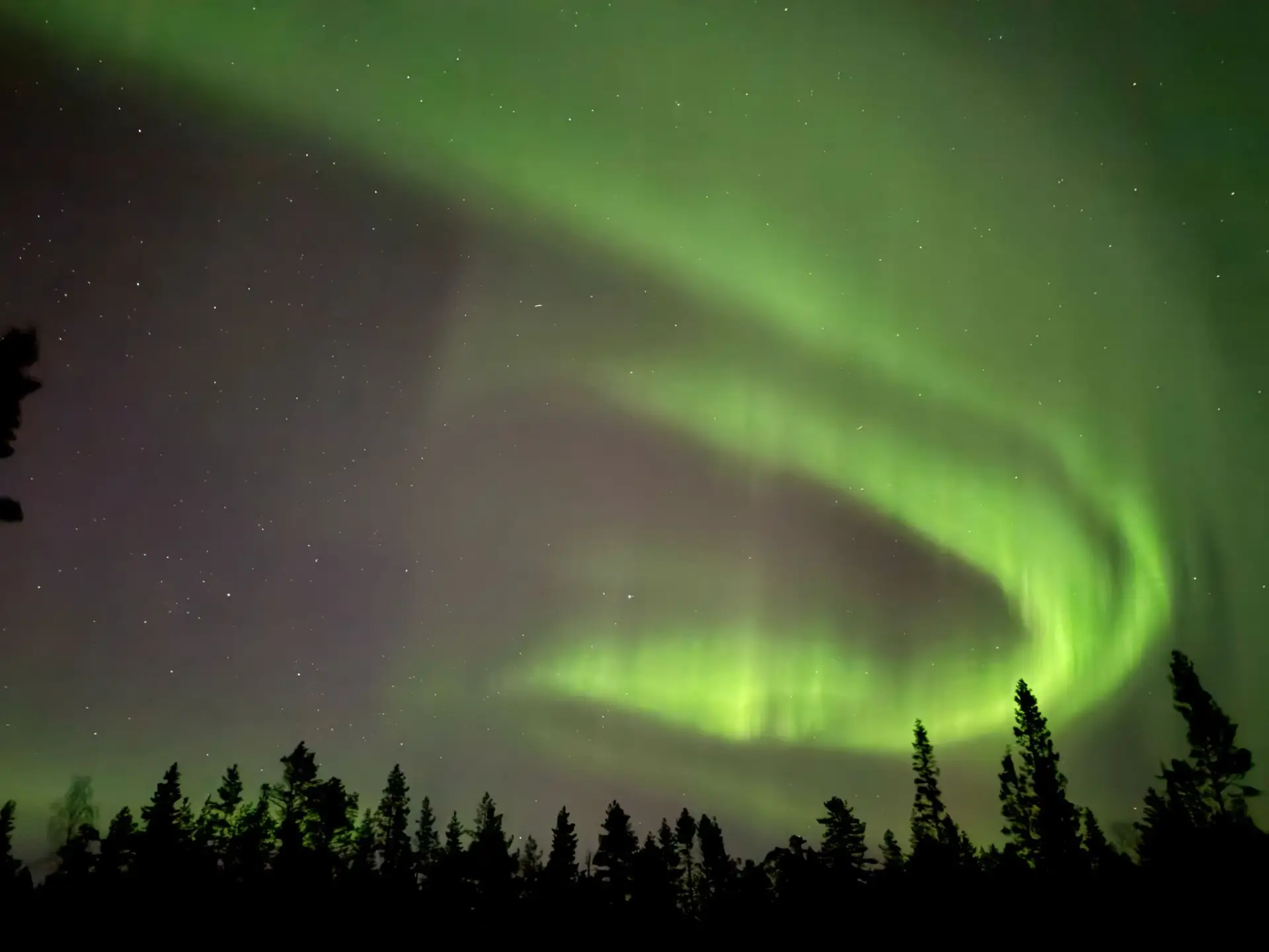 Aurora borealis in the night sky