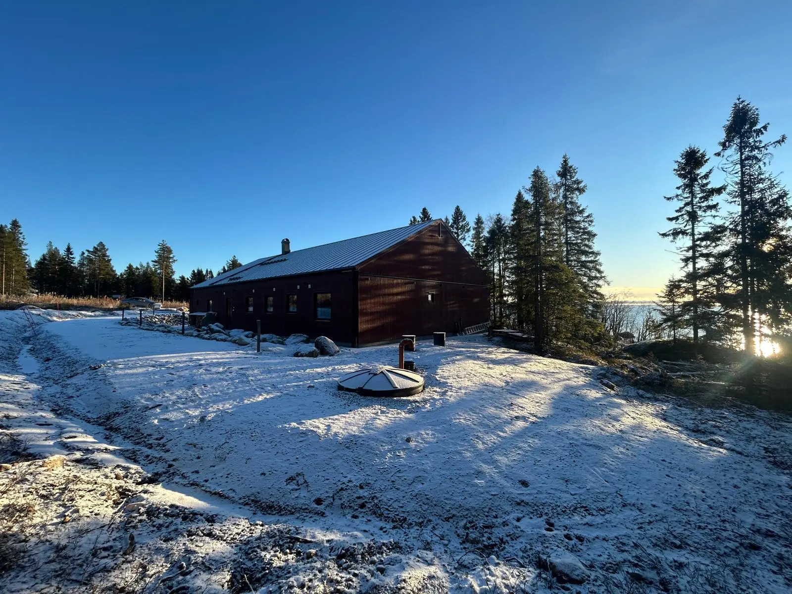 House in winter, snowy path and pines