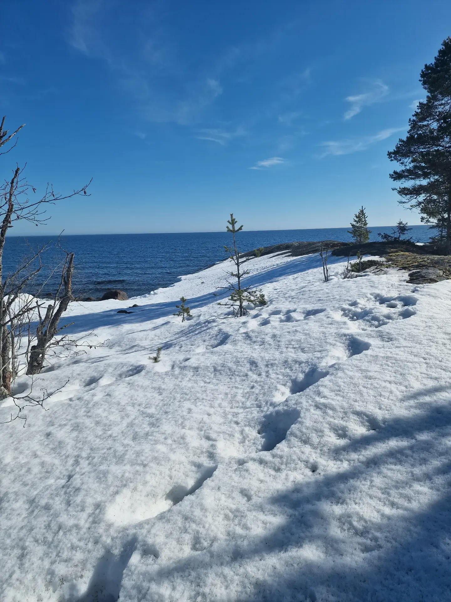 Snow and sea