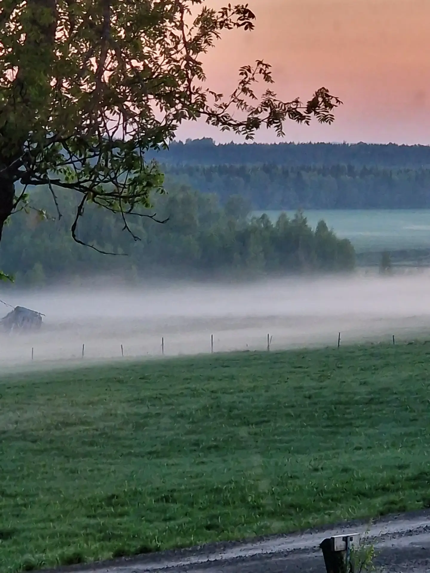 Sommerbild 6