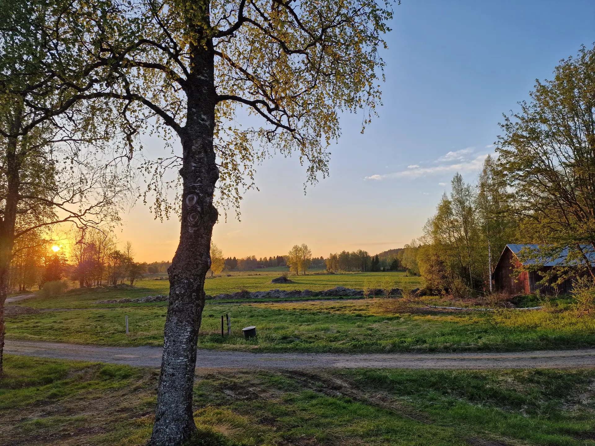 Sommerbild 7