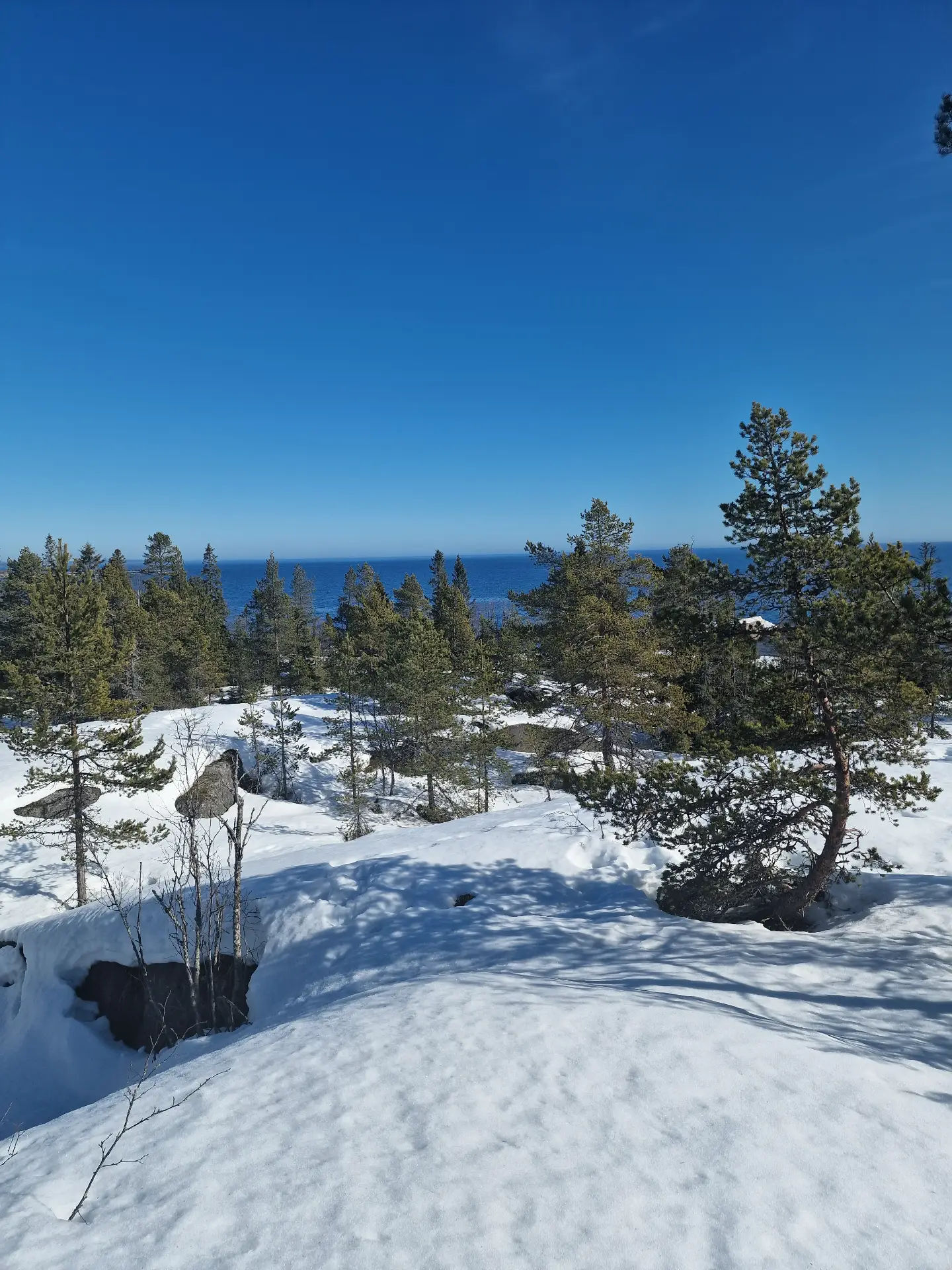 Winterbild 5